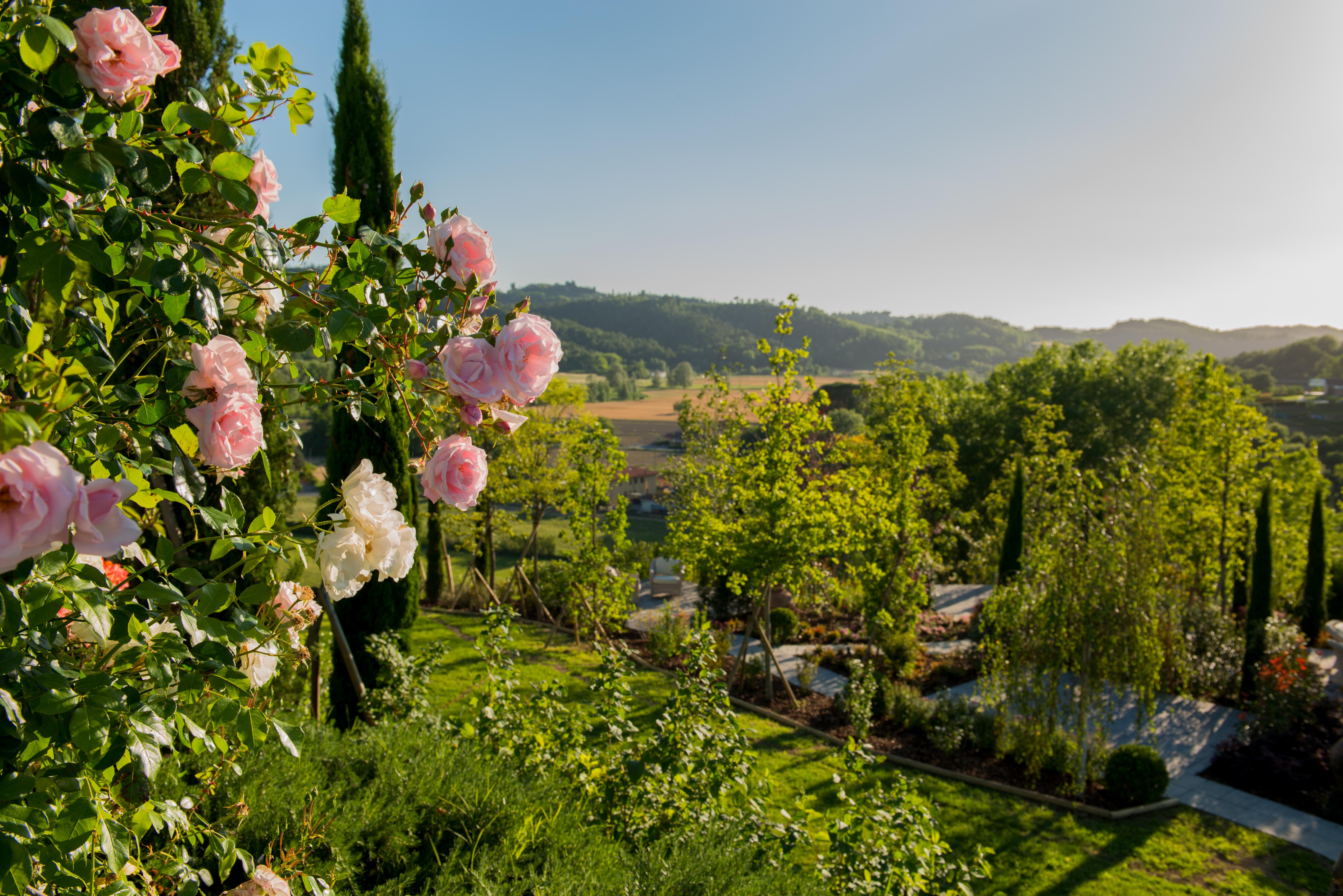 Relais Sassa Al Sole Hotel San Miniato Ngoại thất bức ảnh